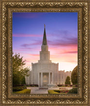 Load image into Gallery viewer, Houston Walk in the Light