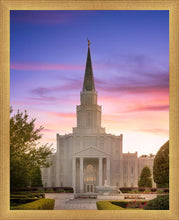 Load image into Gallery viewer, Houston Walk in the Light