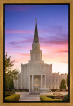 Load image into Gallery viewer, Houston Walk in the Light