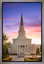 Load image into Gallery viewer, Houston Walk in the Light