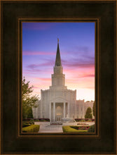 Load image into Gallery viewer, Houston Walk in the Light