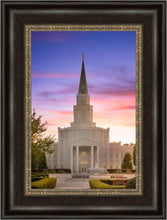 Load image into Gallery viewer, Houston Walk in the Light