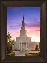 Load image into Gallery viewer, Houston Walk in the Light