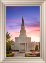 Load image into Gallery viewer, Houston Walk in the Light