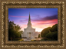 Load image into Gallery viewer, Houston Walk in the Light