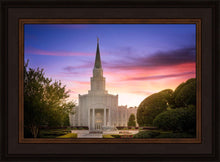 Load image into Gallery viewer, Houston Walk in the Light