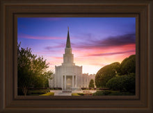 Load image into Gallery viewer, Houston Walk in the Light