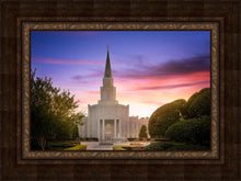 Load image into Gallery viewer, Houston Walk in the Light