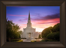 Load image into Gallery viewer, Houston Walk in the Light