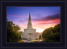 Load image into Gallery viewer, Houston Walk in the Light