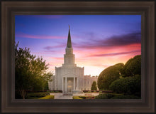 Load image into Gallery viewer, Houston Walk in the Light