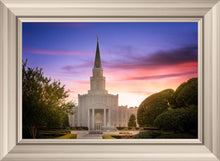 Load image into Gallery viewer, Houston Walk in the Light