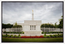 Load image into Gallery viewer, Louisville Day