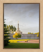 Load image into Gallery viewer, Bismarck Golden Glow