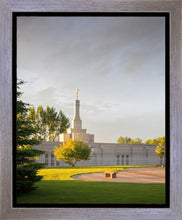 Load image into Gallery viewer, Bismarck Golden Glow