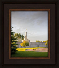 Load image into Gallery viewer, Bismarck Golden Glow