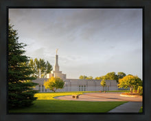 Load image into Gallery viewer, Bismarck Golden Glow