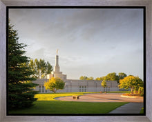 Load image into Gallery viewer, Bismarck Golden Glow