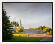 Load image into Gallery viewer, Bismarck Golden Glow