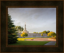 Load image into Gallery viewer, Bismarck Golden Glow