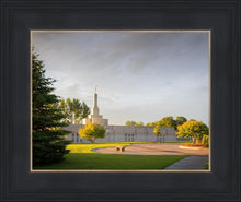 Load image into Gallery viewer, Bismarck Golden Glow
