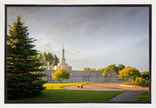 Load image into Gallery viewer, Bismarck Golden Glow