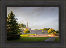 Load image into Gallery viewer, Bismarck Golden Glow