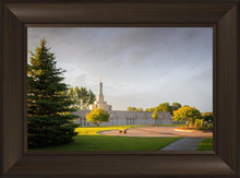 Load image into Gallery viewer, Bismarck Golden Glow