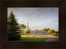 Load image into Gallery viewer, Bismarck Golden Glow