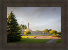 Load image into Gallery viewer, Bismarck Golden Glow
