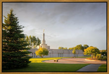 Load image into Gallery viewer, Bismarck Golden Glow