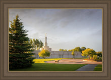 Load image into Gallery viewer, Bismarck Golden Glow
