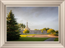 Load image into Gallery viewer, Bismarck Golden Glow