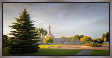 Load image into Gallery viewer, Bismarck Golden Glow