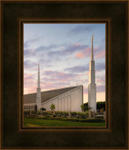 Load image into Gallery viewer, Boise Springtime