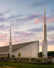 Load image into Gallery viewer, Boise Springtime