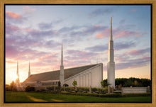 Load image into Gallery viewer, Boise Springtime