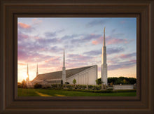 Load image into Gallery viewer, Boise Springtime