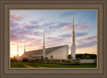 Load image into Gallery viewer, Boise Springtime