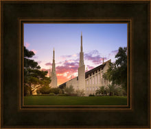 Load image into Gallery viewer, Las Vegas Desert Rose