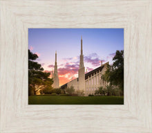 Load image into Gallery viewer, Las Vegas Desert Rose