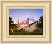 Load image into Gallery viewer, Las Vegas Desert Rose