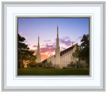 Load image into Gallery viewer, Las Vegas Desert Rose