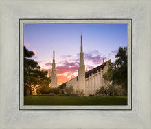 Load image into Gallery viewer, Las Vegas Desert Rose