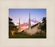 Load image into Gallery viewer, Las Vegas Desert Rose