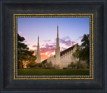 Load image into Gallery viewer, Las Vegas Desert Rose