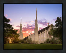 Load image into Gallery viewer, Las Vegas Desert Rose