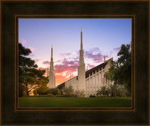 Load image into Gallery viewer, Las Vegas Desert Rose