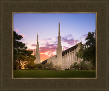 Load image into Gallery viewer, Las Vegas Desert Rose