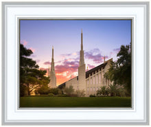 Load image into Gallery viewer, Las Vegas Desert Rose